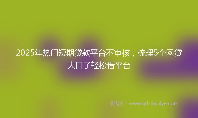 2025年热门短期贷款平台不审核，梳理5个网贷大口子轻松借平台
