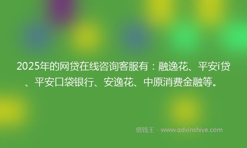 2025年的网贷在线咨询客服有：融逸花、平安i贷、平安口袋银行、安逸花、中原消费金融等。