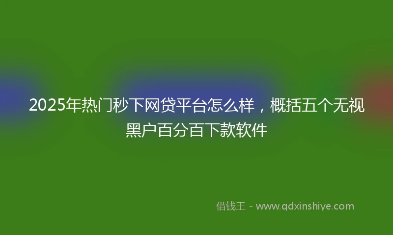 2025年热门秒下网贷平台怎么样，概括五个无视黑户百分百下款软件