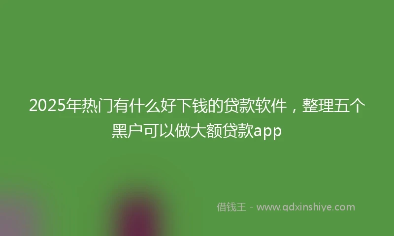 2025年热门有什么好下钱的贷款软件，整理五个黑户可以做大额贷款app
