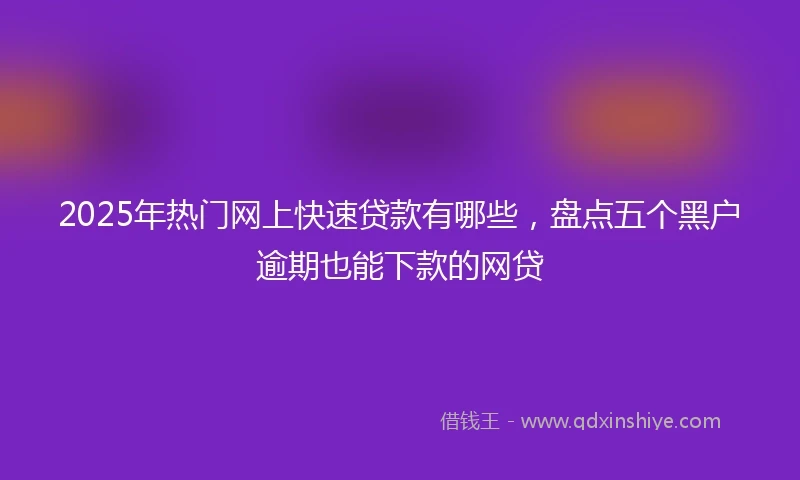 2025年热门网上快速贷款有哪些，盘点五个黑户逾期也能下款的网贷