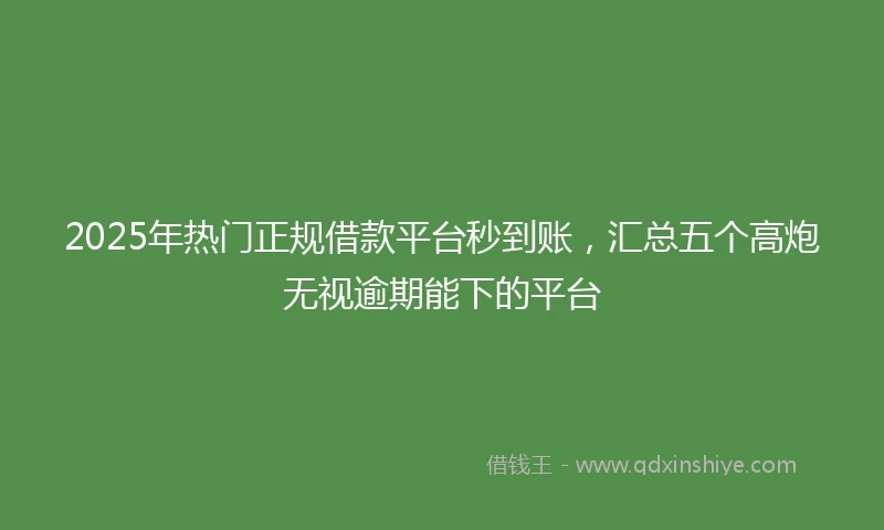 2025年热门正规借款平台秒到账，汇总五个高炮无视逾期能下的平台