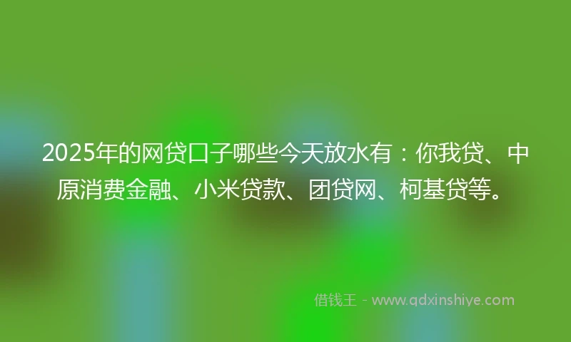 2025年的网贷口子哪些今天放水有：你我贷、中原消费金融、小米贷款、团贷网、柯基贷等。