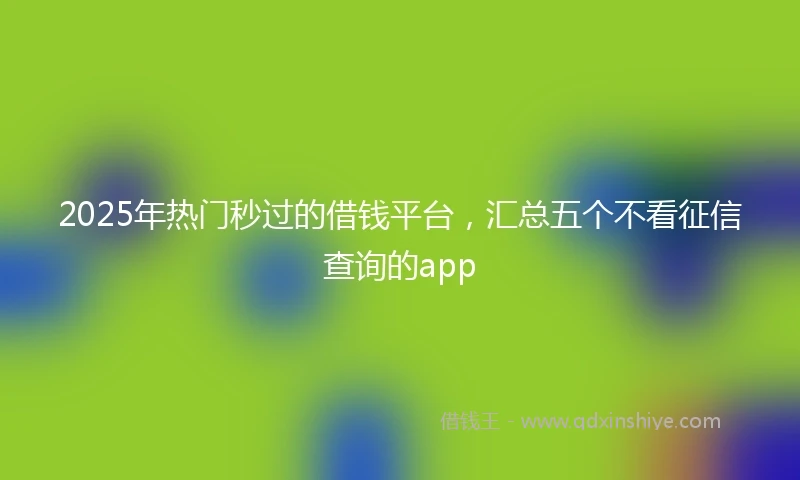 2025年热门秒过的借钱平台，汇总五个不看征信查询的app