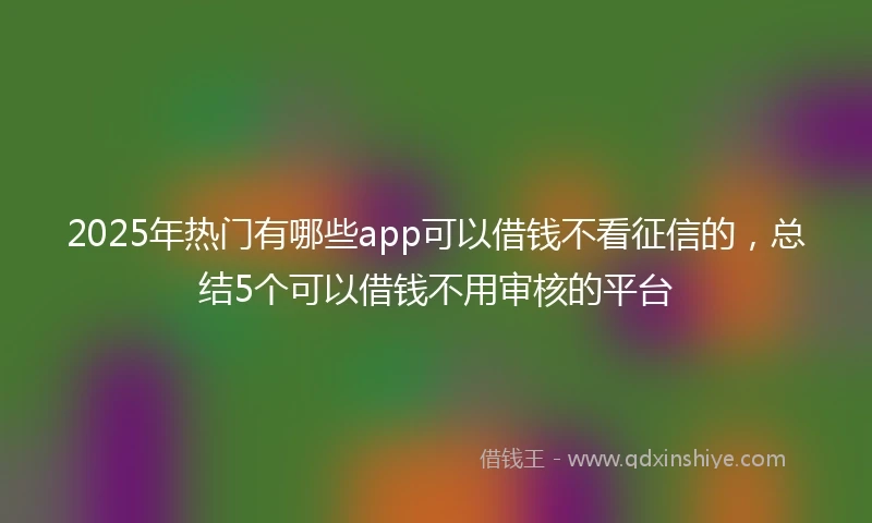 2025年热门有哪些app可以借钱不看征信的，总结5个可以借钱不用审核的平台