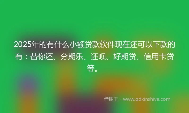 2025年的有什么小额贷款软件现在还可以下款的有：替你还、分期乐、还呗、好期贷、信用卡贷等。