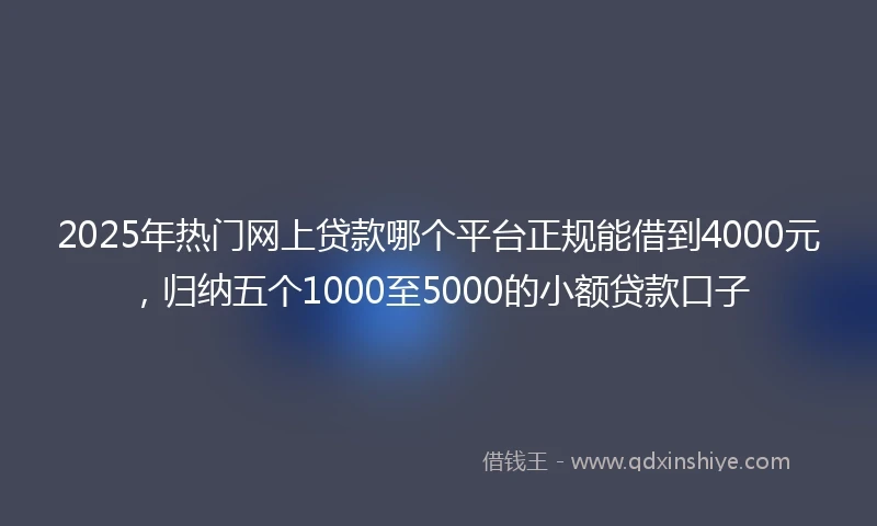 2025年热门网上贷款哪个平台正规能借到4000元，归纳五个1000至5000的小额贷款口子