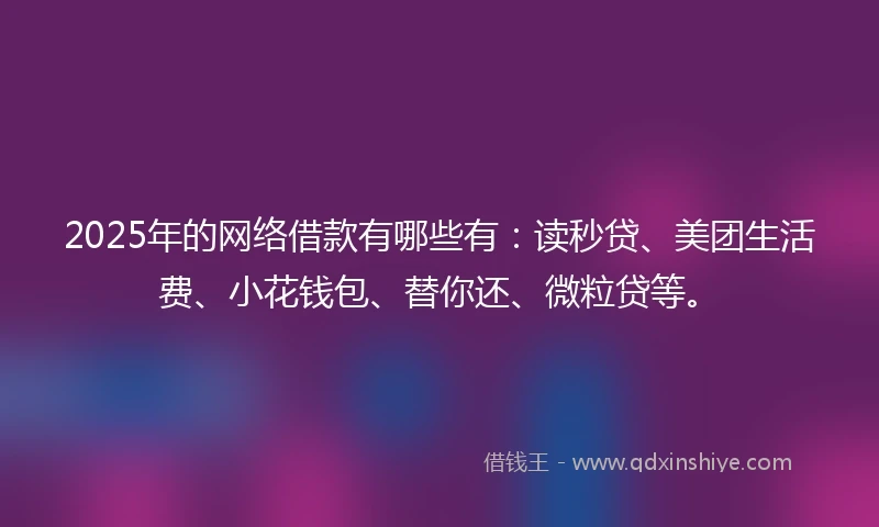 2025年的网络借款有哪些有：读秒贷、美团生活费、小花钱包、替你还、微粒贷等。