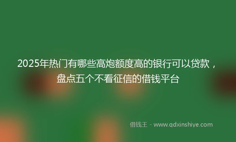 2025年热门有哪些高炮额度高的银行可以贷款，盘点五个不看征信的借钱平台
