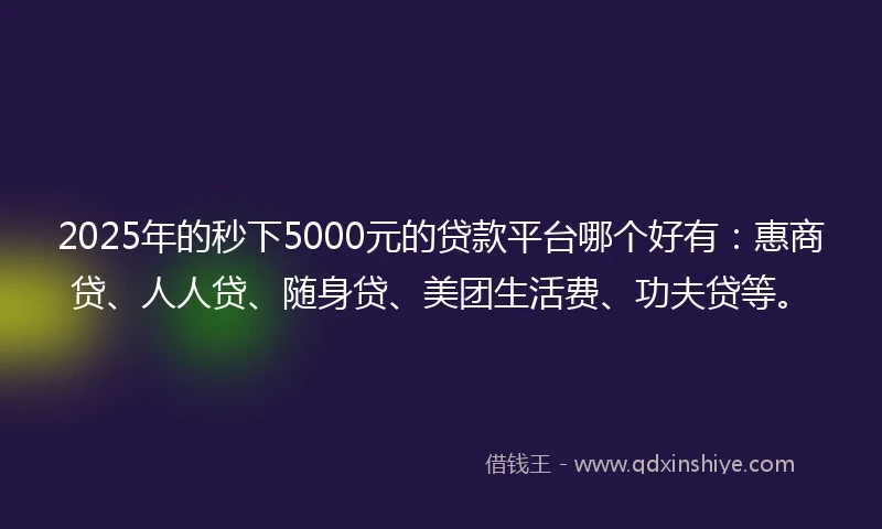 2025年的秒下5000元的贷款平台哪个好有：惠商贷、人人贷、随身贷、美团生活费、功夫贷等。