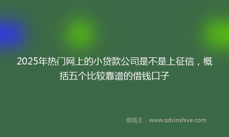 2025年热门网上的小贷款公司是不是上征信,概括五个比较靠谱的借钱口子