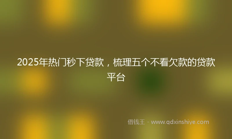 2025年热门秒下贷款，梳理五个不看欠款的贷款平台