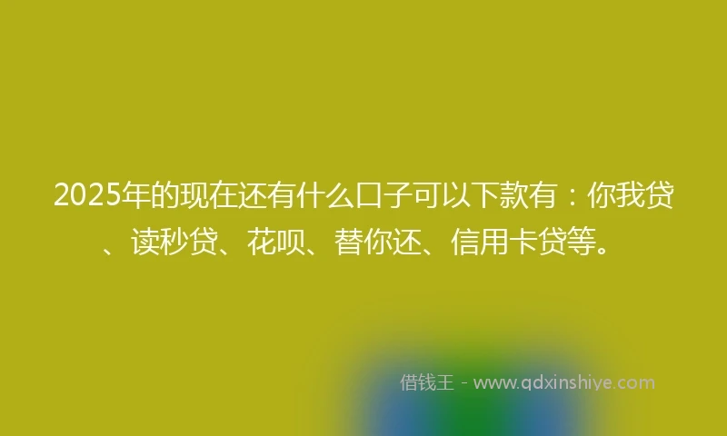 2025年的现在还有什么口子可以下款有：你我贷、读秒贷、花呗、替你还、信用卡贷等。