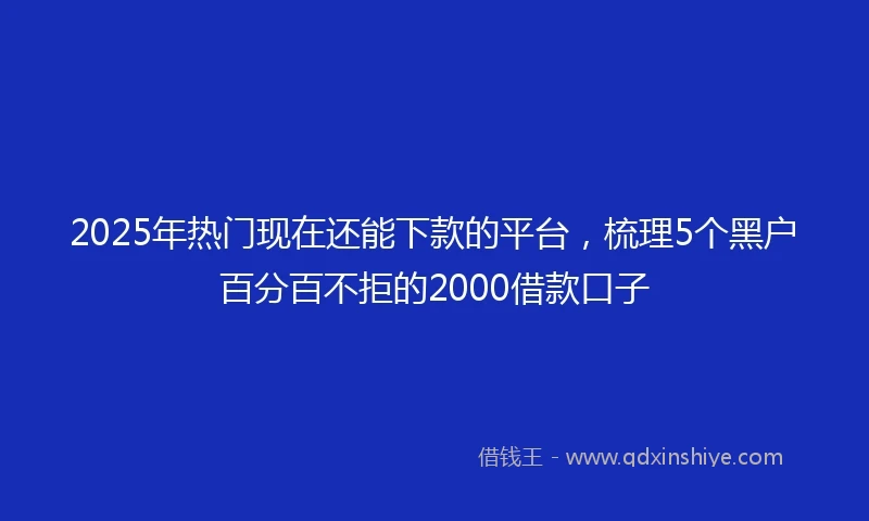2025年热门现在还能下款的平台，梳理5个黑户百分百不拒的2000借款口子