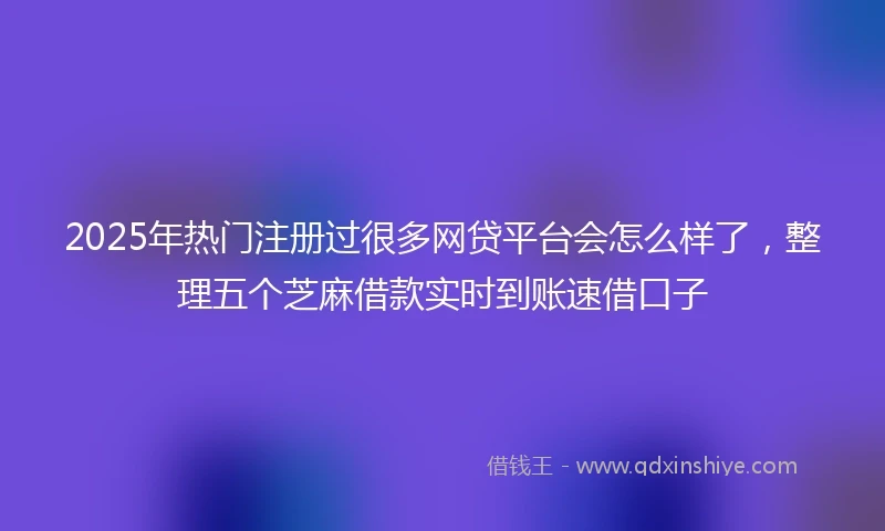 2025年热门注册过很多网贷平台会怎么样了，整理五个芝麻借款实时到账速借口子