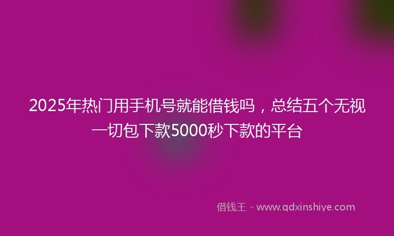 2025年热门用手机号就能借钱吗，总结五个无视一切包下款5000秒下款的平台