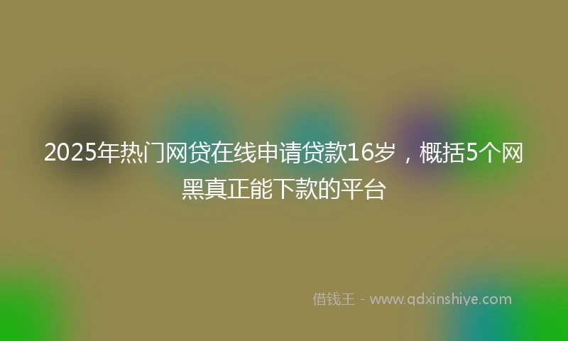 2025年热门网贷在线申请贷款16岁,概括5个网黑真正能下款的平台