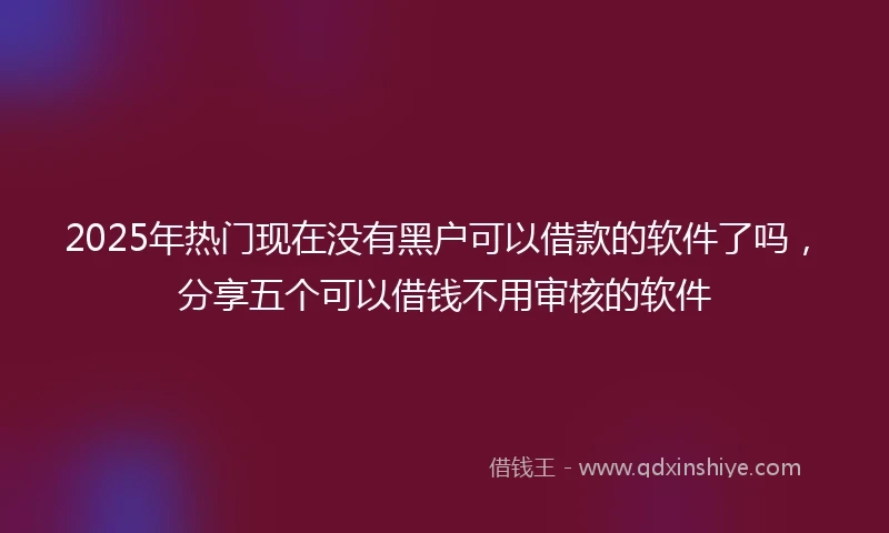 2025年热门现在没有黑户可以借款的软件了吗，分享五个可以借钱不用审核的软件