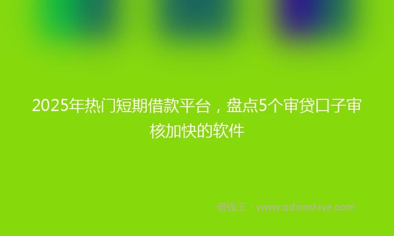2025年热门短期借款平台，盘点5个审贷口子审核加快的软件