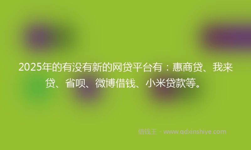 2025年的有没有新的网贷平台有：惠商贷、我来贷、省呗、微博借钱、小米贷款等。