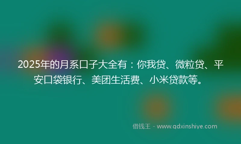 2025年的月系口子大全有：你我贷、微粒贷、平安口袋银行、美团生活费、小米贷款等。