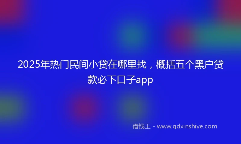 2025年热门民间小贷在哪里找，概括五个黑户贷款必下口子app