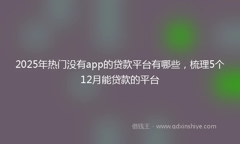 2025年热门没有app的贷款平台有哪些，梳理5个12月能贷款的平台