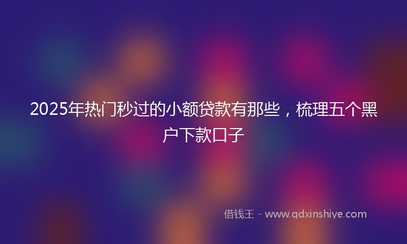 2025年热门秒过的小额贷款有那些，梳理五个黑户下款口子