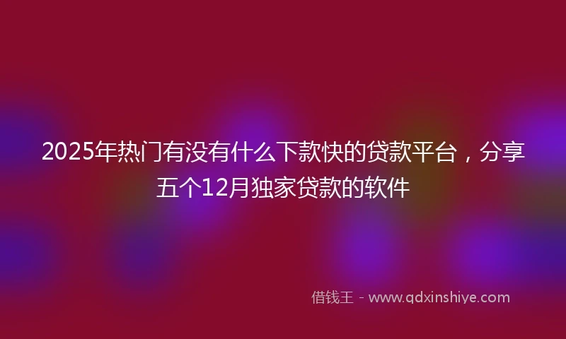2025年热门有没有什么下款快的贷款平台，分享五个12月独家贷款的软件