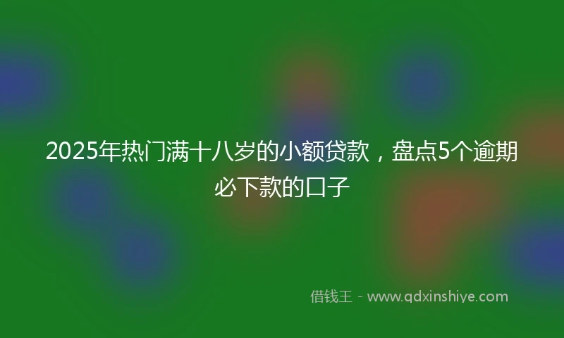 2025年热门满十八岁的小额贷款，盘点5个逾期必下款的口子