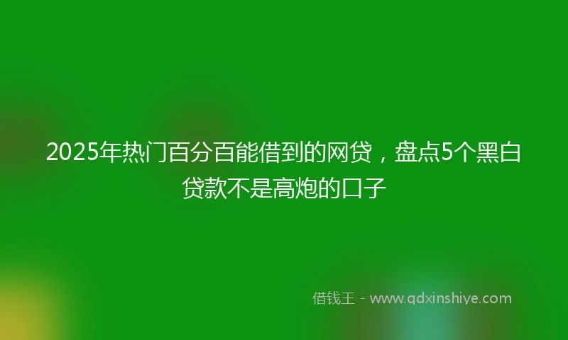 2025年热门百分百能借到的网贷，盘点5个黑白贷款不是高炮的口子