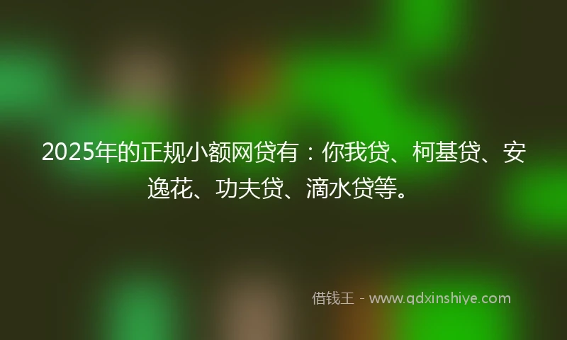 2025年的正规小额网贷有：你我贷、柯基贷、安逸花、功夫贷、滴水贷等。