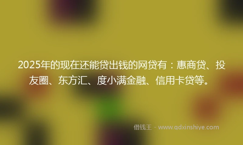 2025年的现在还能贷出钱的网贷有：惠商贷、投友圈、东方汇、度小满金融、信用卡贷等。