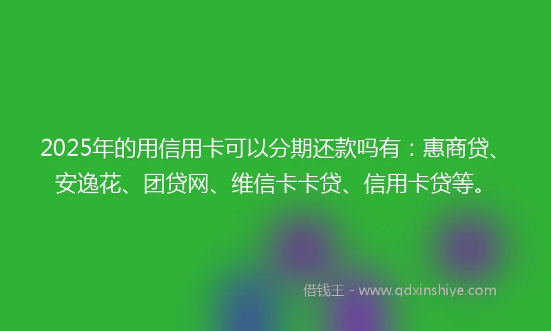 2025年的用信用卡可以分期还款吗有：惠商贷、安逸花、团贷网、维信卡卡贷、信用卡贷等。
