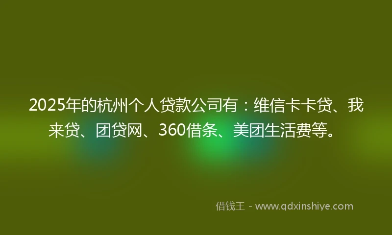 2025年的杭州个人贷款公司有：维信卡卡贷、我来贷、团贷网、360借条、美团生活费等。