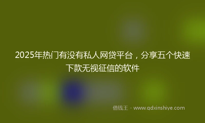 2025年热门有没有私人网贷平台，分享五个快速下款无视征信的软件
