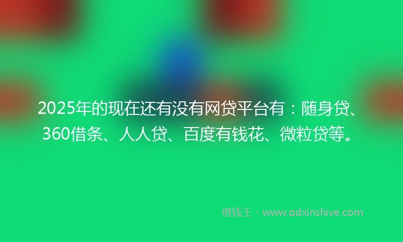 2025年的现在还有没有网贷平台有：随身贷、360借条、人人贷、百度有钱花、微粒贷等。
