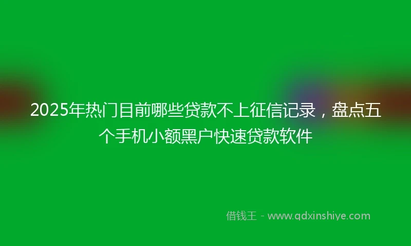 2025年热门目前哪些贷款不上征信记录，盘点五个手机小额黑户快速贷款软件