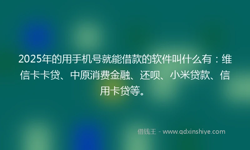 2025年的用手机号就能借款的软件叫什么有：维信卡卡贷、中原消费金融、还呗、小米贷款、信用卡贷等。