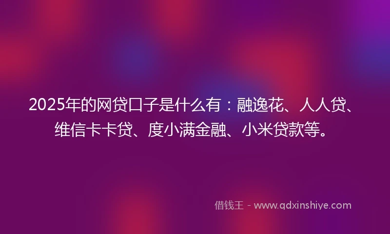 2025年的网贷口子是什么有：融逸花、人人贷、维信卡卡贷、度小满金融、小米贷款等。