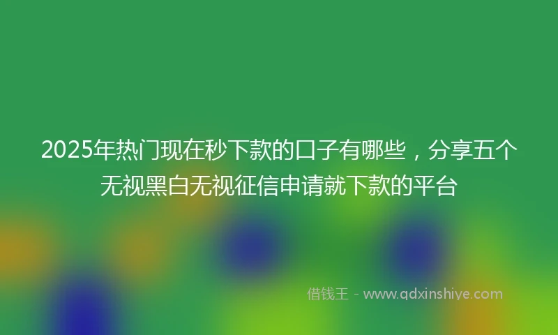 2025年热门现在秒下款的口子有哪些，分享五个无视黑白无视征信申请就下款的平台