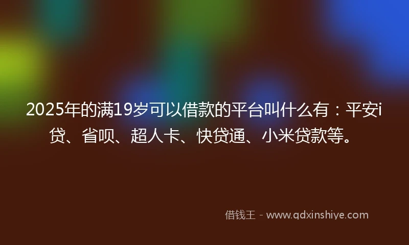 2025年的满19岁可以借款的平台叫什么有：平安i贷、省呗、超人卡、快贷通、小米贷款等。