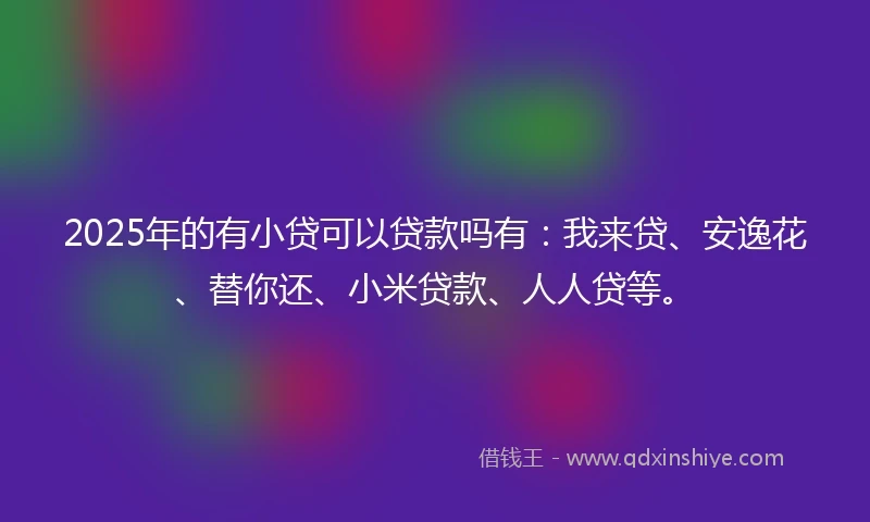 2025年的有小贷可以贷款吗有：我来贷、安逸花、替你还、小米贷款、人人贷等。