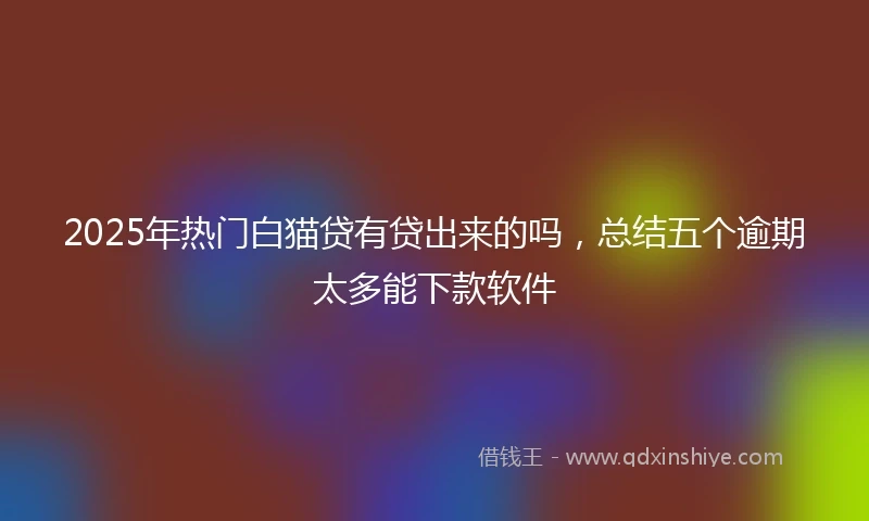 2025年热门白猫贷有贷出来的吗，总结五个逾期太多能下款软件