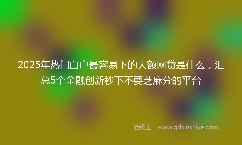 2025年热门白户最容易下的大额网贷是什么，汇总5个金融创新秒下不要芝麻分的平台