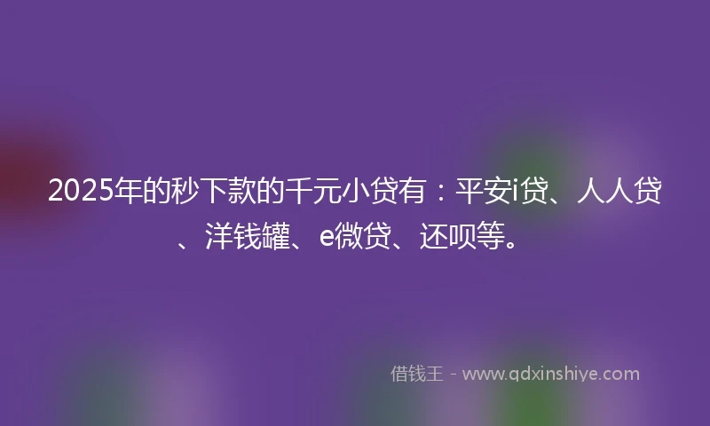 2025年的秒下款的千元小贷有：平安i贷、人人贷、洋钱罐、e微贷、还呗等。