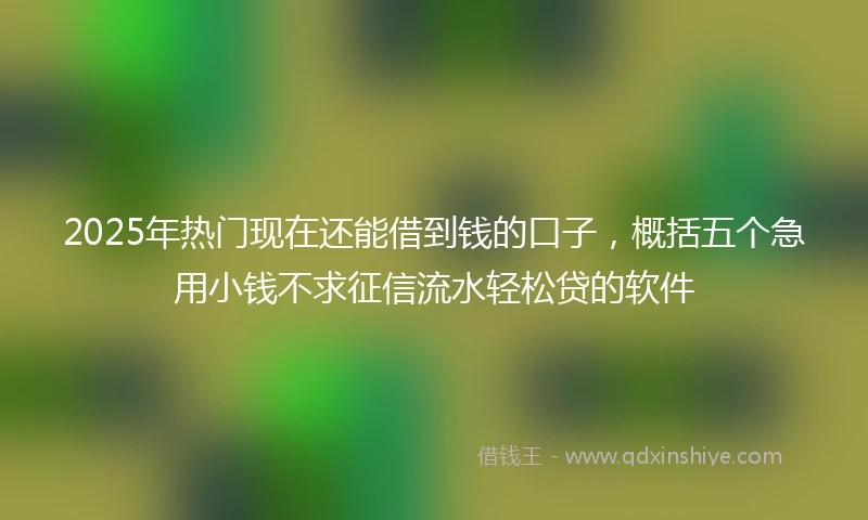 2025年热门现在还能借到钱的口子，概括五个急用小钱不求征信流水轻松贷的软件