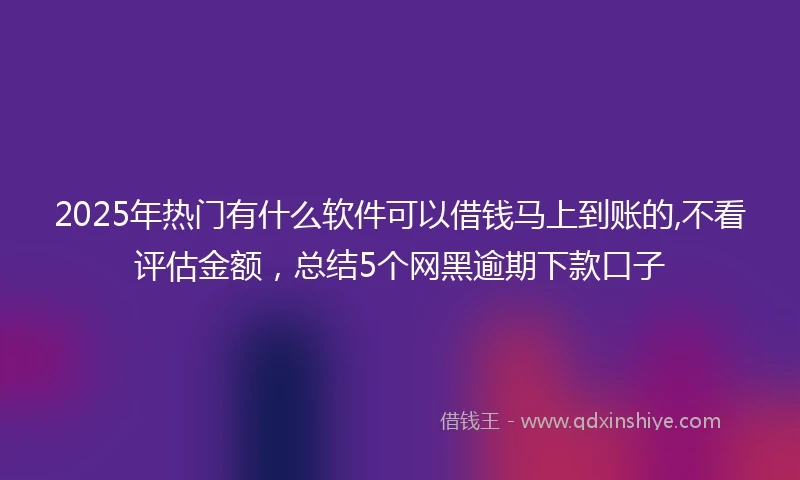 2025年热门有什么软件可以借钱马上到账的,不看评估金额，总结5个网黑逾期下款口子