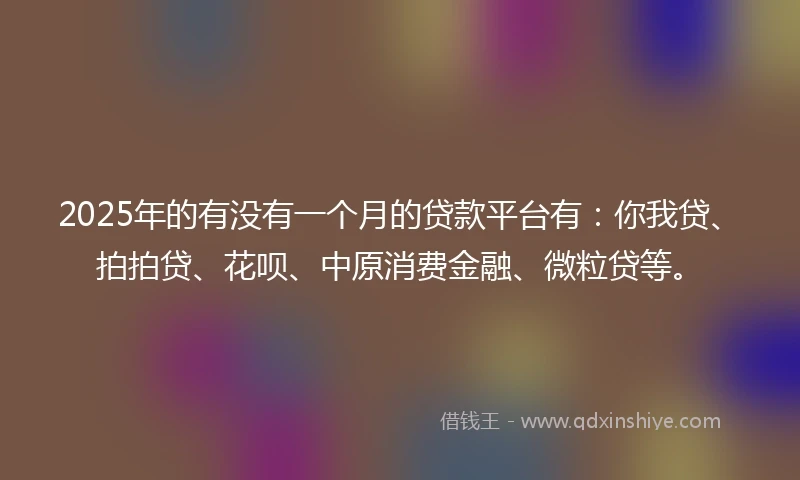 2025年的有没有一个月的贷款平台有：你我贷、拍拍贷、花呗、中原消费金融、微粒贷等。