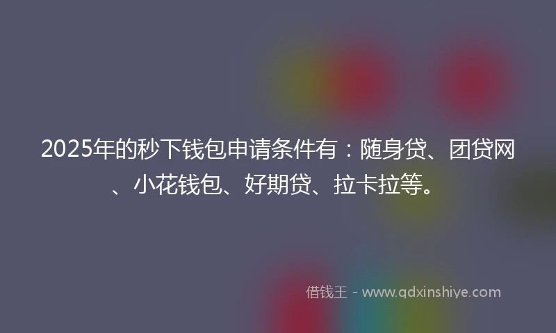 2025年的秒下钱包申请条件有：随身贷、团贷网、小花钱包、好期贷、拉卡拉等。